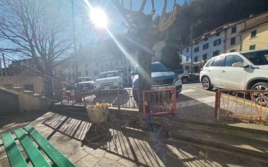 Pianosinatico Appartamento Ristrutturato al Piano Terra