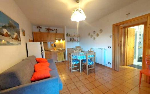 Dogana Nuova Trilocale con Camino e Terrazzo